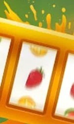 Fruit